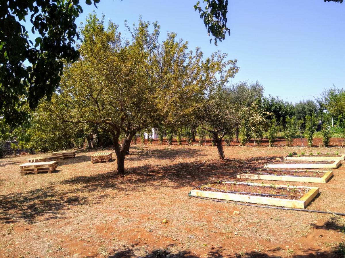 I Colmi - Trulli Suites مارتينا فرانكا المظهر الخارجي الصورة